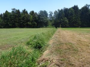Melioracijski jarek poln vode tudi v sušnem obdobju poletje 2013.